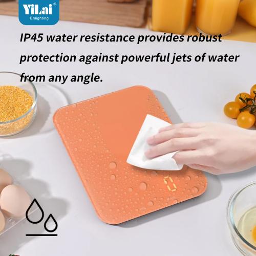Kitchen Food Scale for Baking